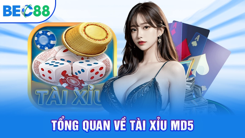 Tổng quan về tài xỉu MD5