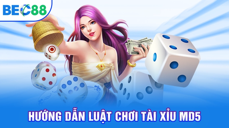 Hướng dẫn luật chơi tài xỉu MD5