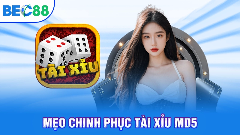 Mẹo chinh phục tài xỉu MD5